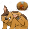 chien qui se gratte